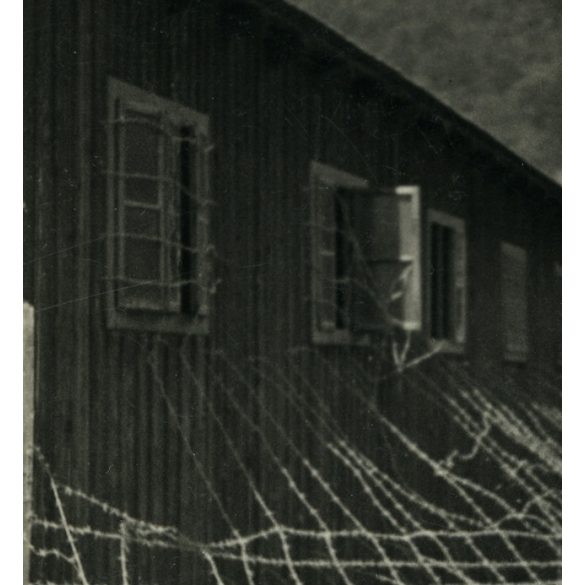 'Tisza közzön az internáló tábor drót akadályokkal'. Dumen-láger (?), Tiszaköz, Kárpátalja, láger barakk szögesdróttal, bevonulás, helytörténet, 1939. VI. 10, 1930-as évek, Eredeti fotó, ritka papírké