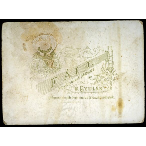 Fái műterem, B.Gyula, (Békésgyula, Gyula),  elegáns hölgy gyönyörű ruhában, Bibliával, hajviselet, Békés megye, helytörténet, 1880-as évek, Eredeti kabinetfotó, felülete foltos.   