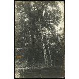 'Megfigyelő állás Galicziai fronton', magyar katonák a keleti fronton, Galícia, 1. világháború, 1910-es évek, Eredeti fotó, papírkép.  