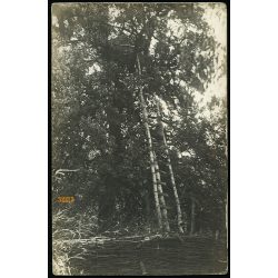   'Megfigyelő állás Galicziai fronton', magyar katonák a keleti fronton, Galícia, 1. világháború, 1910-es évek, Eredeti fotó, papírkép.  
