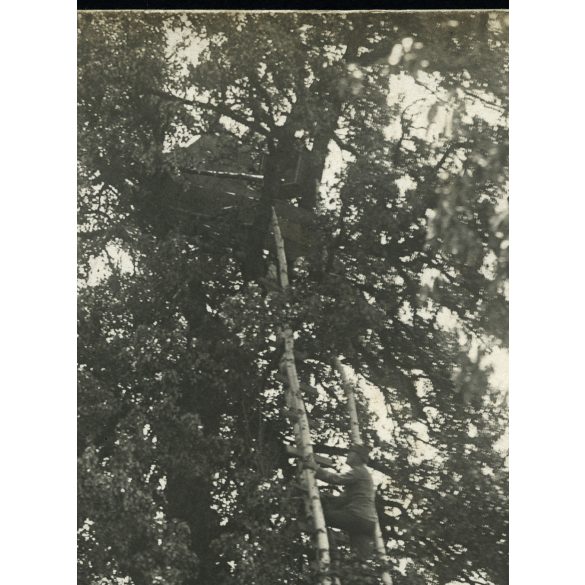 'Megfigyelő állás Galicziai fronton', magyar katonák a keleti fronton, Galícia, 1. világháború, 1910-es évek, Eredeti fotó, papírkép.  