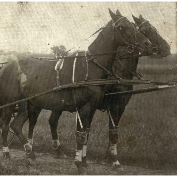 Úri pár homokfutón, kocsis magyaros egyenruhában, lovaskocsi, hintó, jármű, közlekedés, 1910-es évek, Eredeti fotó, papírkép.  