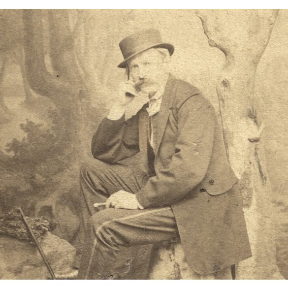 Bayer műterem, Pécs, elegáns úr szivarral, kalap, sétapálca, különös háttér, 1860-es évek, Eredeti CDV, vizitkártya fotó.  