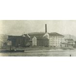 Fürdőzők a MOVE strandon, Margit-sziget, Duna, fürdőruha, háttérben az óbudai Rakpart, gőzmalom, helytörténet, 1910-es évek, Eredeti fotó, papírkép, szélei vágottak.  