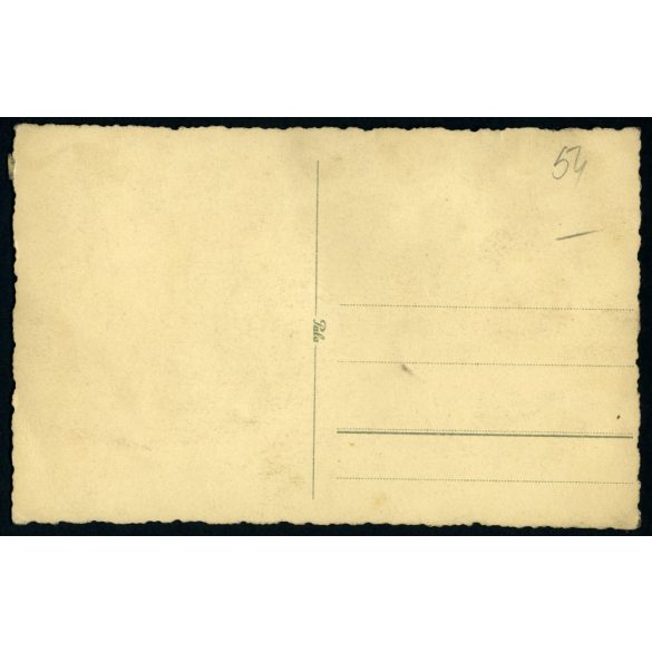 Felsorakozott katonatisztek őszirózsával, bevonulás (?), egyenruha, 2. világháború, 1940, 1940-es évek, Eredeti fotó, papírkép.   