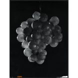 Nagyobb méret, Szendrő István fotóművészeti alkotása, csendélet szőlőfürttel, 1930-as évek. Eredeti, pecséttel jelzett fotó, papírkép, Agfa Brovira papíron. Dekorációnak, ajándéknak is kiváló. méret m