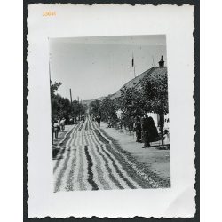   Úrnapi virágszőnyeg, Budaörs, ünnep, falu, helytörténet, vallás, egyház, 1930-as évek, Eredeti fotó, papírkép.   