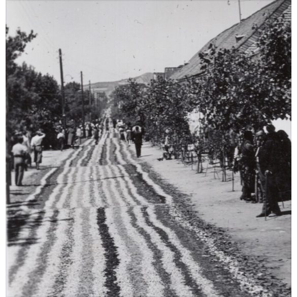 Úrnapi virágszőnyeg, Budaörs, ünnep, falu, helytörténet, vallás, egyház, 1930-as évek, Eredeti fotó, papírkép.   