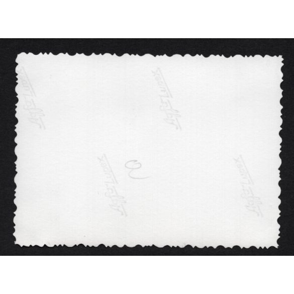 Steyr Waffenrad kerékpár, fiatal nő biciklivel, jármű, közlekedés, 1930-as évek, Eredeti fotó, papírkép.  