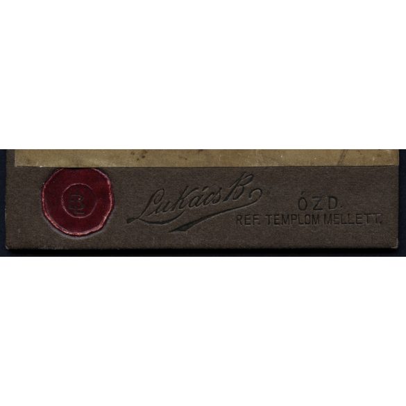 Lukács műterem, Ózd, Ádám Lajos gyógyszerész portréja, elegáns férfi bajusszal, foglalkozás, Borsod-Abaúj-Zemplén megye, helytörténet, 1900-as évek, Eredeti CDV, vizitkártya fotó.   