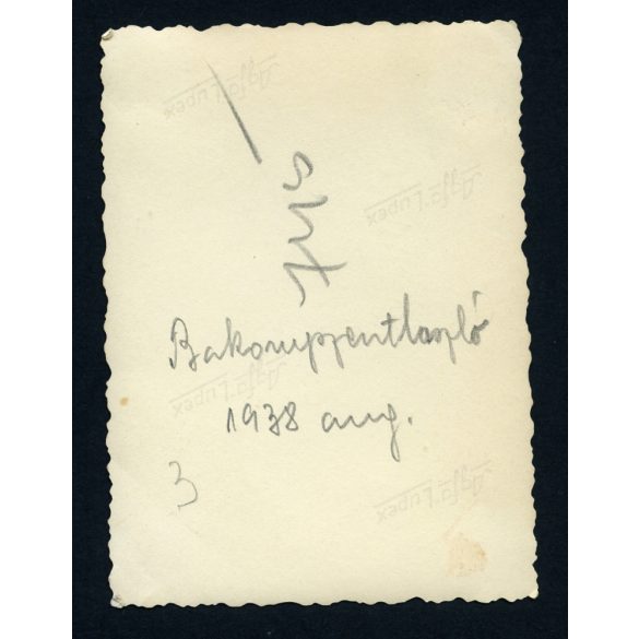 Vasútállomáson, Bakonyszentlászló, közlekedés, vonat, Győr-Moson-Sopron megye, helytörténet, 1938, 1930-as évek. Eredeti fotó, papírkép. 