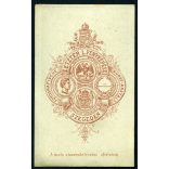 Letzter műterem, SZEGEDIN (Szeged), elegáns nő gyönyörű hajjal, 1870-es évek, Eredeti CDV, vizitkártya fotó.  