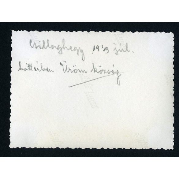 'Háttérben Üröm község', kirándulók Óbudán, Csillaghegy, helytörténet, 1939, 1930-as évek, Eredeti fotó, papírkép.   