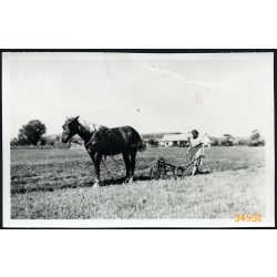   Fiatal parasztasszony szánt ló vontatta ekével, Csór, falu, mezőgazdaság, Fejér megye, helytörténet, 1940-es évek, Eredeti fotó, papírkép. 