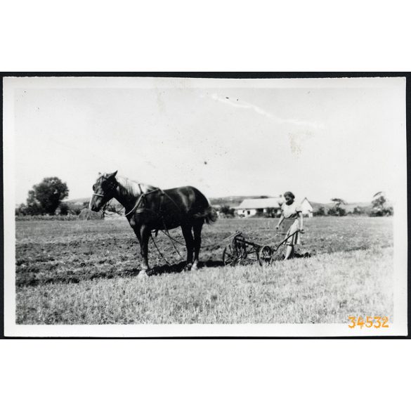 Fiatal parasztasszony szánt ló vontatta ekével, Csór, falu, mezőgazdaság, Fejér megye, helytörténet, 1940-es évek, Eredeti fotó, papírkép. 