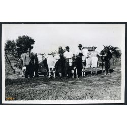   Gazda férfiak és nők állatokkal, tehén, borjú, ló, Csór, falu, mezőgazdaság, gazdasági udvar, Fejér megye, helytörténet, 1940-es évek, Eredeti fotó, papírkép. 