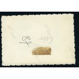 Fiatal nő tehenekkel, Csór, falu, mezőgazdaság, gazdasági udvar, állat, Fejér megye, helytörténet, 1940-es évek, Eredeti fotó, papírkép.  