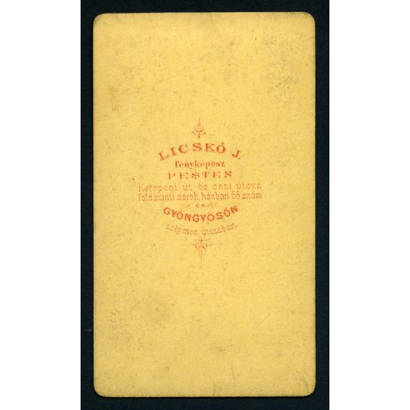 Licskó műterem, Pest (Gyöngyös), elegáns férfi sétapálcával, különös kalappal, 1860-as évek, Eredeti CDV, vizitkártya fotó.  