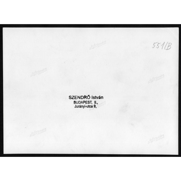 Nagyobb méret, Szendrő István fotóművészeti alkotása, kiskutyák, 1930-as évek. Eredeti, pecséttel jelzett fotó, papírkép, Agfa Brovira papíron. Dekorációnak, ajándéknak is kiváló.