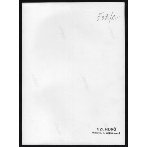 Nagyobb méret, Szendrő István fotóművészeti alkotása, tükörkép a tóban, 1930-as évek. Eredeti, pecséttel jelzett fotó, papírkép, Agfa Brovira papíron. Dekorációnak, ajándéknak is kiváló.