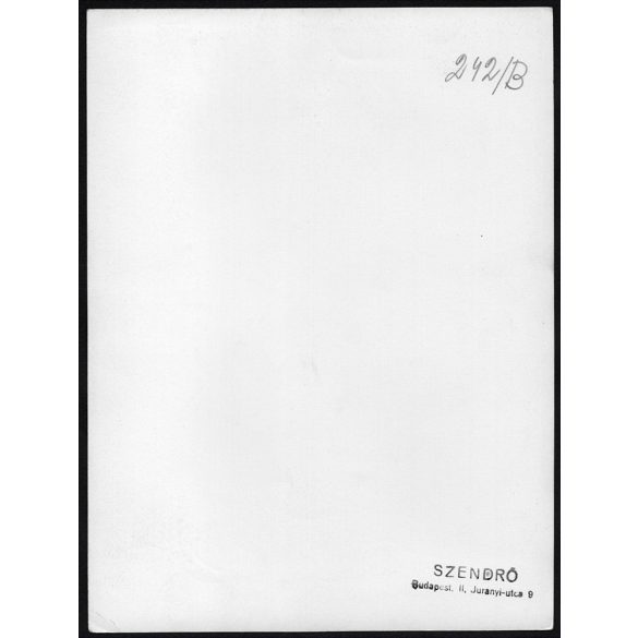 Nagyobb méret, Szendrő István fotóművészeti alkotása, gólya a templomtoronynál, 1930-as évek. Eredeti, pecséttel jelzett fotó, papírkép. Dekorációnak, ajándéknak is kiváló.