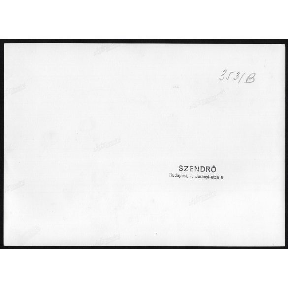 Nagyobb méret, Szendrő István fotóművészeti alkotása, Margitsziget, Nemzeti Sportuszoda, 1930-as évek. Eredeti, pecséttel jelzett fotó, papírkép, Agfa Brovira papíron. 