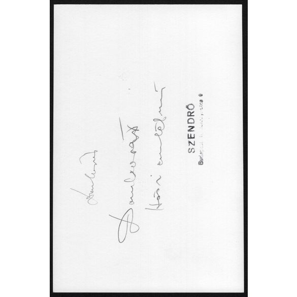 Nagyobb méret, Szendrő István fotóművészeti alkotása. Dombóvár, 1848-as emlékmű (Országzászló), Tolna megye, helytörténet, 1930-as évek. Eredeti, pecséttel jelzett fotó, papírkép. Dekorációnak, ajándé