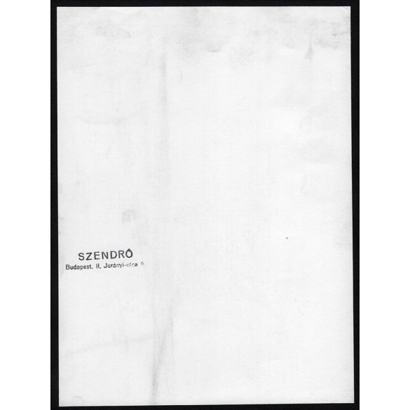 Nagyobb méret, Szendrő István fotóművészeti alkotása. A Budai Vár az ostrom után, Budapest, Dísz tér, romos, lebombázott épületek, 2. világháború, helytörténet, 1945, 1940-es évek. Eredeti, pecséttel 