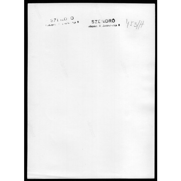 Nagyobb méret, Szendrő István fotóművészeti alkotása. Kislány kiscicával, falu, néprajz, zsáner, 1930-as évek. Eredeti, pecséttel jelzett fotó, papírkép, Agfa Brovira papíron. Dekorációnak, ajándéknak