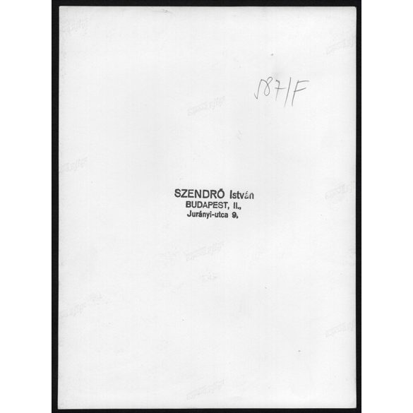 Nagyobb méret, Szendrő István fotóművészeti alkotása. Sirály a levegőben, madár, állat, 1930-as évek. Eredeti, pecséttel jelzett fotó, papírkép, Agfa Brovira papíron. Dekorációnak, ajándéknak is kivál