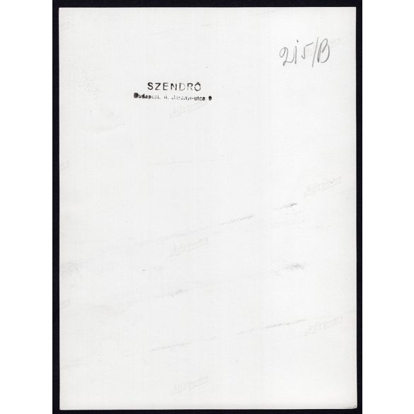 Nagyobb méret, Szendrő István fotóművészeti alkotása. Budapest, Budai vár, menetelő koronaőrök, egyenruha, helytörténet,  1930-as évek. Eredeti, pecséttel jelzett fotó, papírkép, Agfa Brovira papíron.