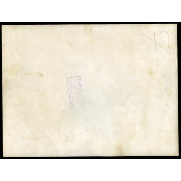 Havel fotószalon, Budapest, Magyar Királyi folyamőrség tisztjei egyenruhában, érdemrend, kitüntetés, katona, 2. világháború, 1940-es évek, Eredeti nagyobb méretű pecséttel jelzett fotó, papírkép. 