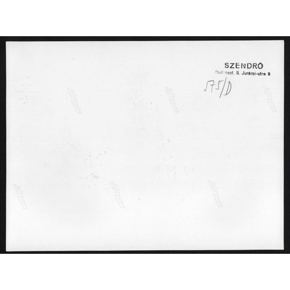 Nagyobb méret, Szendrő István fotóművészeti alkotása. Robbanómotoros repülőmodell verseny, 1930-as évek. Eredeti, pecséttel jelzett fotó, papírkép, Agfa Brovira papíron. Dekorációnak, ajándéknak is ki