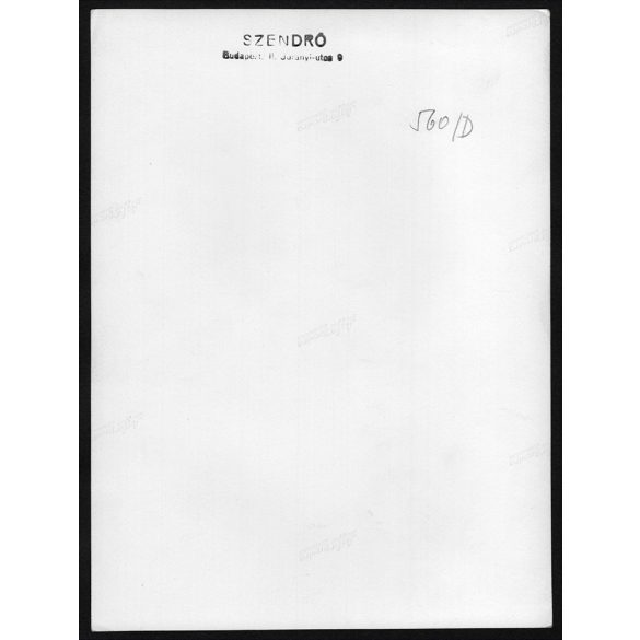 Nagyobb méret, Szendrő István fotóművészeti alkotása. Hortobágyi pásztor pipával, bajusz, népviselet, néprajz, zsáner, foglalkozás, helytörténet, 1930-as évek. Eredeti, pecséttel jelzett fotó, papírké