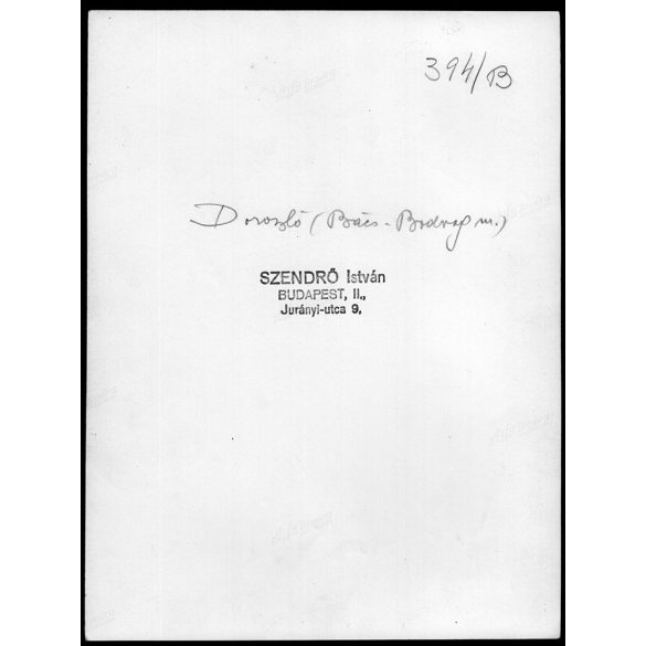 Nagyobb méret, Szendrő István fotóművészeti alkotása. Doroszló, Vajdaság, fiatal lány doroszlói népviseletben, néprajz, helytörténet, 1930-as évek. Eredeti, pecséttel jelzett fotó, papírkép, Agfa Brov