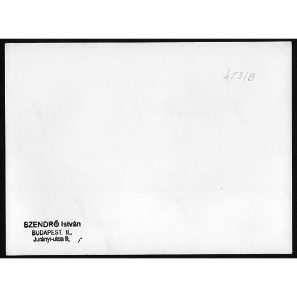 Nagyobb méret, Szendrő István fotóművészeti alkotása. Cicák, macskák a kosárban, állat, zsáner,  1930-as évek. Eredeti, pecséttel jelzett fotó, papírkép, Agfa Brovira papíron. Dekorációnak, ajándéknak