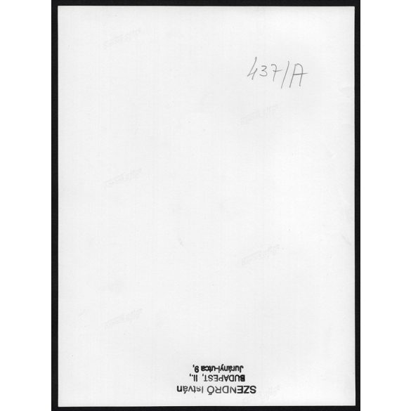 Nagyobb méret, Szendrő István fotóművészeti alkotása. Budapest, Szent Jobb körmenet, alabárdos koronaőr, egyenruha, 1930-as évek. Eredeti, pecséttel jelzett fotó, papírkép, Agfa Brovira papíron. Dekor