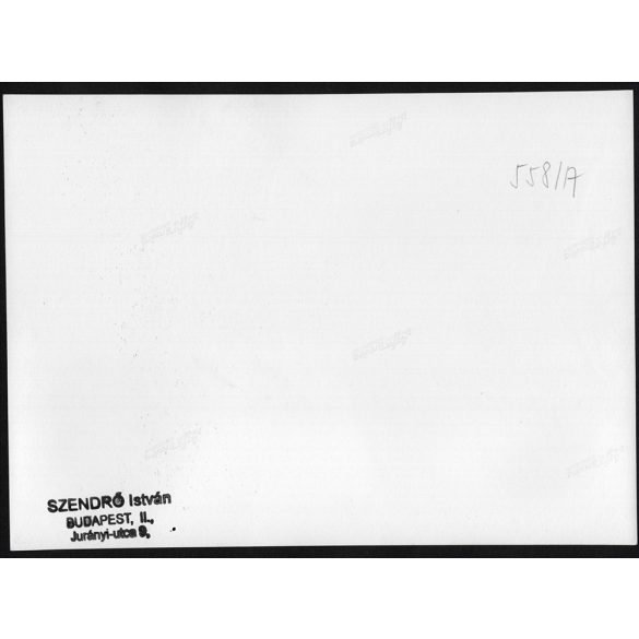 Nagyobb méret, Szendrő István fotóművészeti alkotása. Szürkemarhák tehenekkel, pásztor népviseletben, Hortobágy, néprajz, magyaros stílus, helytörténet, állat,  1930-as évek. Eredeti, pecséttel jelzet