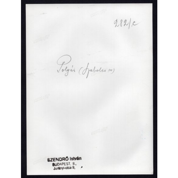 Nagyobb méret, Szendrő István fotóművészeti alkotása. Fiatal pár polgári (Hajdú-Bihar megye) népviseletben, néprajz, helytörténet, 1930-as évek. Eredeti, pecséttel jelzett fotó, papírkép, Agfa Brovira