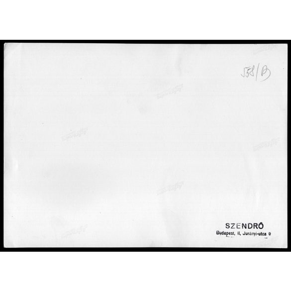 Nagyobb méret, Szendrő István fotóművészeti alkotása. Szürkemarhák tehenekkel, pásztor népviseletben, Hortobágy, néprajz, magyaros stílus, helytörténet, állat,  1930-as évek. Eredeti, pecséttel jelzet