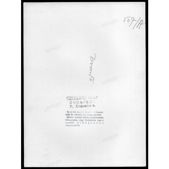 Nagyobb méret, Szendrő István fotóművészeti alkotása. Doroszló, Vajdaság, fiatalasszony népviseletben, néprajz, helytörténet, 1930-as évek. Eredeti, pecséttel jelzett fotó, papírkép, Agfa Brovira papí