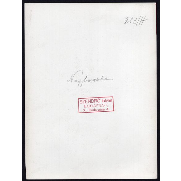 Nagyobb méret, Szendrő István fotóművészeti alkotása. Nagybaracska, Bács-Kiskun megye, hölgy népviseletben, néprajz, helytörténet, 1930-as évek. Eredeti, pecséttel jelzett fotó, papírkép, Agfa Brovira