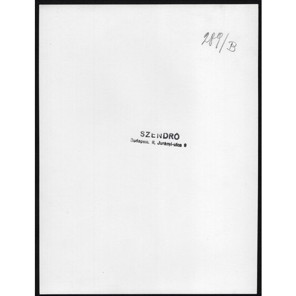 Nagyobb méret, Szendrő István fotóművészeti alkotása. Budapest, Budai vár, Szent Jobb körmenet, alabárdos koronaőrök, politikai és egyházi elöljárók,  1930-as évek. Eredeti, pecséttel jelzett fotó, pa