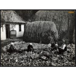   Nagyobb méret, Szendrő István fotóművészeti alkotása. Kukoricafosztás egy falusi ház udvarán, néprajz, népviselet, mezőgazdaság, 1930-as évek. Eredeti, pecséttel jelzett fotó, papírkép. Dekorációnak, 