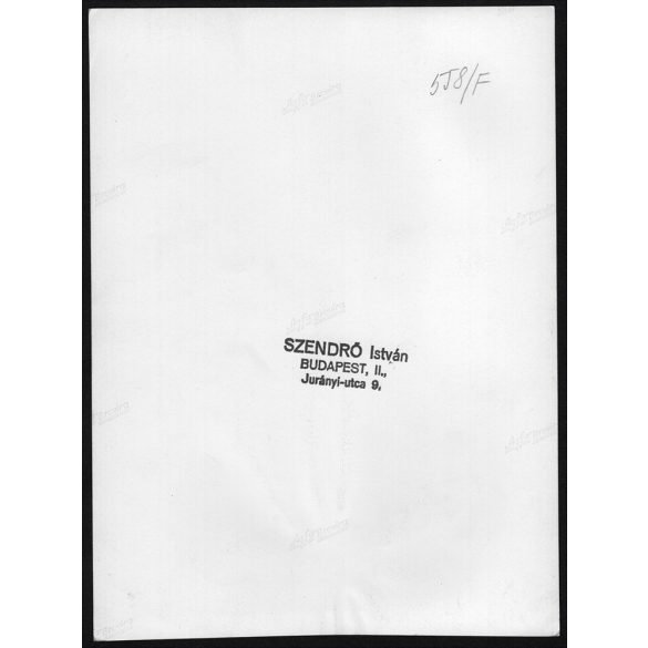 Nagyobb méret, Szendrő István fotóművészeti alkotása. Pásztor juhnyájjal, itatás, néprajz, mezőgazdaság, állatok, magyaros stílus, 1930-as évek. Eredeti, pecséttel jelzett fotó, papírkép, Agfa Brovira