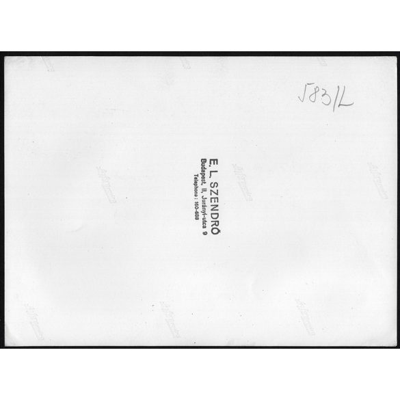 Nagyobb méret, Szendrő István fotóművészeti alkotása. Lányok a szőlőben kosárral, szüret, mezőgazdaság, foglalkozás, néprajz, zsáner, 1930-as évek. Eredeti, pecséttel jelzett fotó, papírkép, Agfa Brov