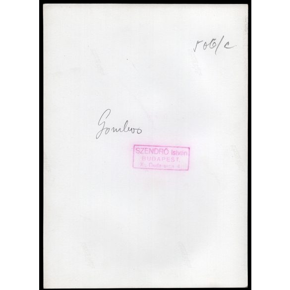 Nagyobb méret, Szendrő István fotóművészeti alkotása. Gyerekek gombosi népviseletben, Gombos, Vajdaság Gyöngyösbokréta mozgalom, néprajz, helytörténet, tánc, művészet, 1930-as évek. Eredeti, pecséttel