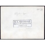 Nagyobb méret, Szendrő István fotóművészeti alkotása. Boronálás szürkemarhákkal, mezőgazdaság, paraszt, néprajz, zsáner, állatok, foglalkozás, 1930-as évek. Eredeti, pecséttel jelzett fotó, papírkép. 
