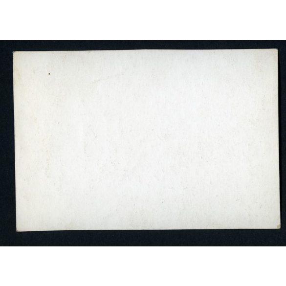 Kodály Zoltán zeneszerző 70.-ik születésnapját ünneplik a Zeneakadémián, Budapest, művész, híresség, 1952, 1950-es évek, Eredeti fotó, papírkép. 