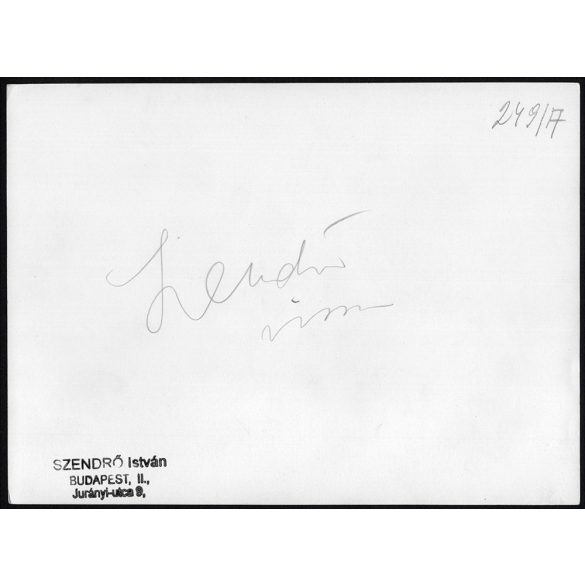 Nagyobb méret, Szendrő István fotóművészeti alkotása. Egyházi, ünnepi felvonulás, népviseletben, zászlók, kereszt, 1930-as évek. Eredeti, pecséttel jelzett fotó, papírkép. Dekorációnak, ajándéknak is 